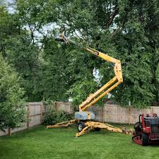 Best Storm Damage Tree Cleanup  in Churubusco, IN