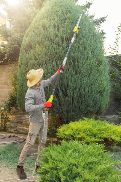 Best Pest Control for Lawns  in Churubusco, IN